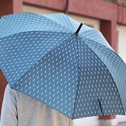 Посмотреть подробнее фото Зонт-трость 'Long Umbrella' - Feather - Chickenart