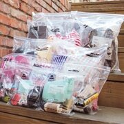 Посмотреть подробнее фото Набор пакетов для вещей 'Travelers Zipper Bag' - 13p Set - Chickenart