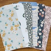 Посмотреть подробнее фото Набор конвертов 'Basic Envelope Set' - Type A - Chickenart